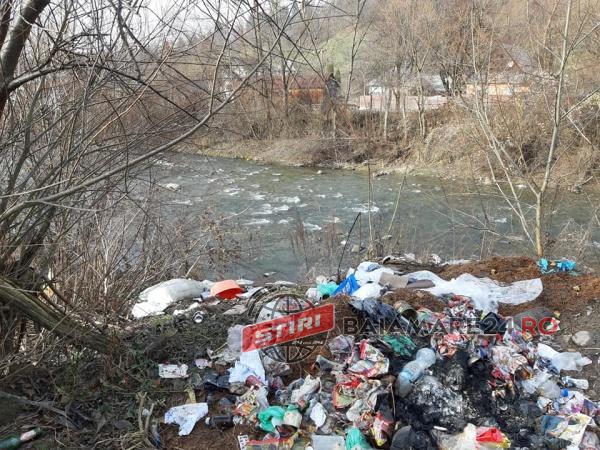 gunoaie-poieniel-de-sub-munte-6