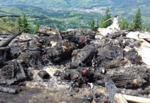 EXCLUSIV / STRIGĂTOR LA CER – Casă călcată de hoți, foc pus intenționat și bătrâni speriați, în Borșa. Infractorul, încă liber ca pasărea cerului