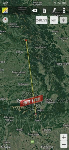 rodnei din bv sergiu serge 1