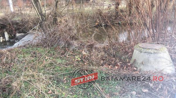 salistea poluare 12 13 dec 19 1