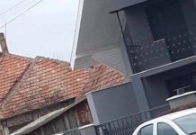 PREMIERĂ / ACTUALIZARE – SUB ASEDIU – Familie legată și tâlhărită în Seini. Criminaliștii au împânzit orașul (FOTO EXCLUSIV)