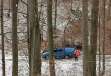 ACTUALIZARE FOTO – Intervenție în pădurea de lângă orașul Baia-Sprie. O persoană căzută, cu un picior fracturat