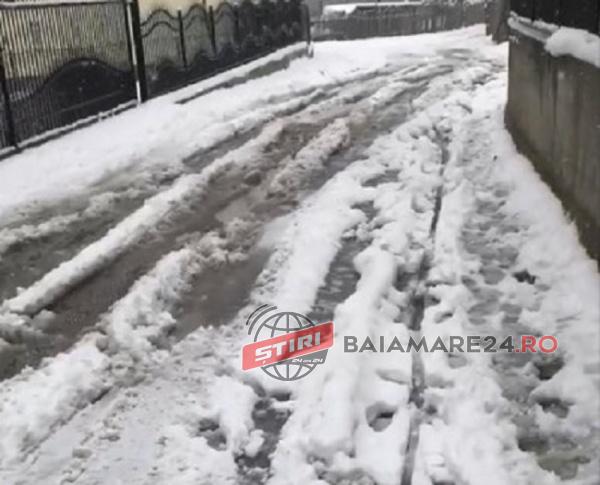 83934030_2566694873607626_1504386521048809472_n