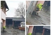 EXCLUSIV FOTO/VIDEO – ECONOMIE LA DESZĂPEZIRE? Combustibil turnat din canistre în PET-uri de 5 litri la Sighetu Marmației (ACTUALIZARE)