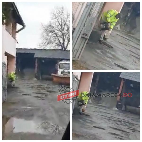 84180470_1477459805762817_2530004550757122048_n