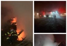 EXCLUSIV – Cabana dirijorului Corului Bărbătesc din Finteușu Mare a fost aprinsă. Proprietarul este socrul vicepreședintelui CJ Maramureș și tatăl directoarei Ansamblului Național Transilvania (FOTO)