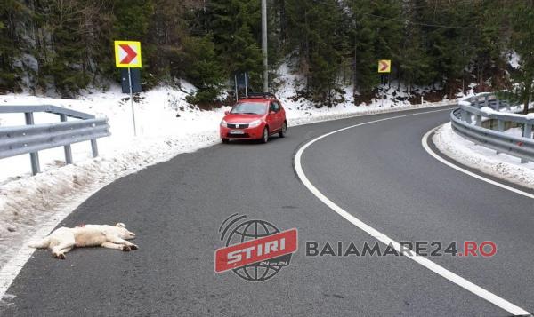 PHOTO-2020-01-11-15-05-30