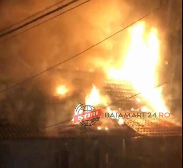 foc bn salvatori din mm