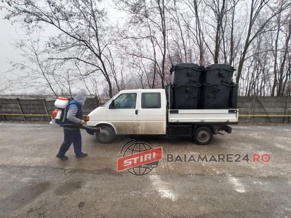 gripa-aviara-seini-4