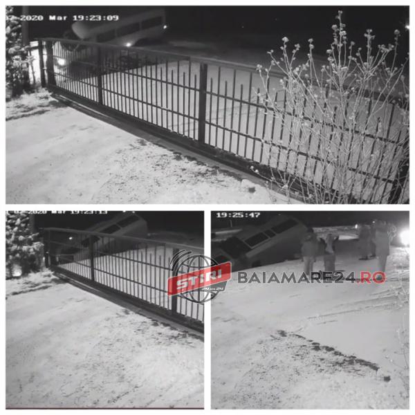 impact stejarul 7 ian 20 1