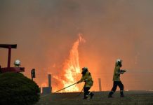 EXCLUSIV / MĂRTURISIRE DIN FUM ȘI SCRUM – Povestea maramureșencei care înghite fumul unor incendii care ard cât patru Belgii și omoară urși koala și canguri (FOTO)