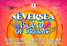 NEVERSEA 2020 – PRIMII ARTIȘTI ANUNȚAȚI