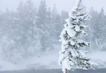 VREME GREA – Avertizare meteo de vânt puternic în Maramureș. Se anunță zile cu precipitații