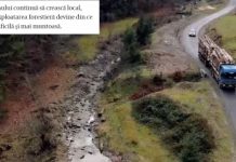 MARAMUREȘUL DESFIINȚAT ÎN PRESA OLANDEZĂ – BORȘA: Întâlnește-te cu Vlad, un maramureșean care luptă împotriva „mafiei lemnului”