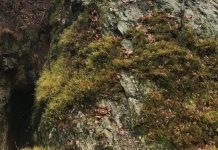 MOBILIZARE DE FORȚE – Bărbat mort căzut în Fisura Zorilor de pe Dealul Minei din Baia Sprie (FOTO/VIDEO)