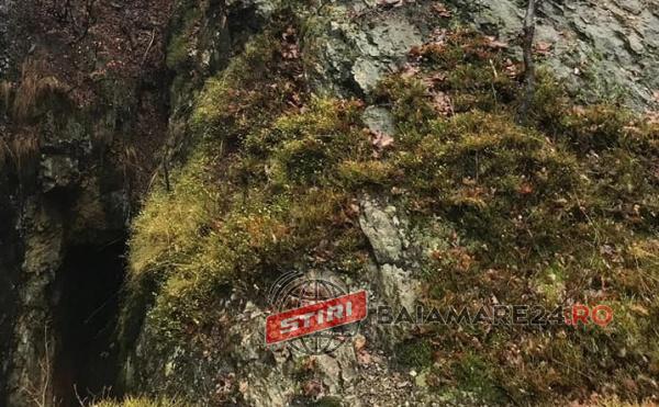 84357711_252931639039038_2569181387005362176_n