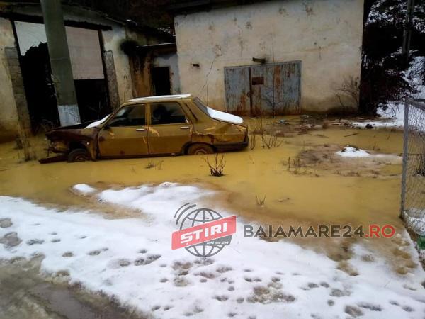 84396200_2418119678405844_5111247064923111424_n