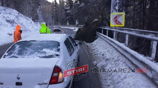 84919387_131587195009592_9049578414310162432_n