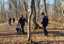 TÂRGU LĂPUȘ: Minori francezi identificaţi la scurt timp după sesizarea dispariţiei (galerie foto)