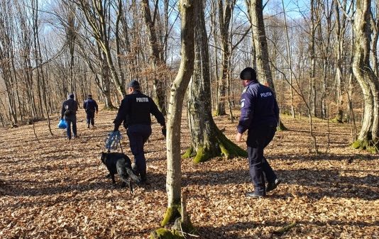 TÂRGU LĂPUȘ: Minori francezi identificaţi la scurt timp după sesizarea dispariţiei (galerie foto)