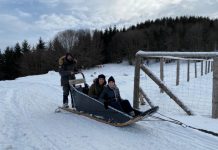 BUDEȘTI: Un cuplu de francezi organizează curse cu sănii trase de câini aduși din Groenlanda prin munții Gutâi (foto/video)