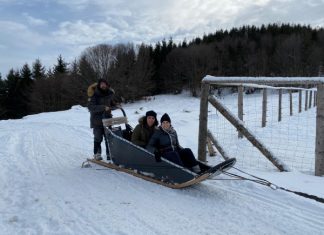 BUDEȘTI: Un cuplu de francezi organizează curse cu sănii trase de câini aduși din Groenlanda prin munții Gutâi (foto/video)