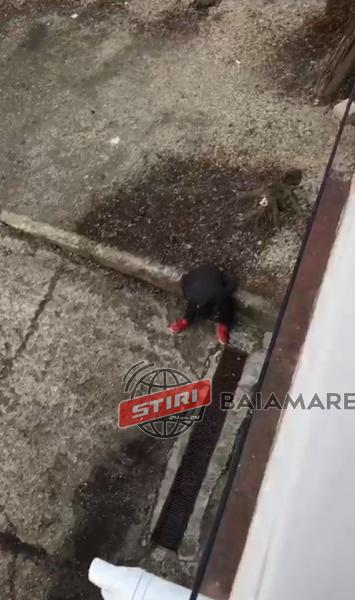 caz hortensiei 6 feb 20 1