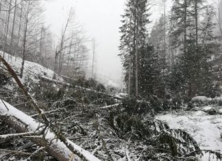 GALERIE FOTO: Vântul a făcut prăpăd în Munții Rodnei! Risc de avalanșe în aceeași zonă