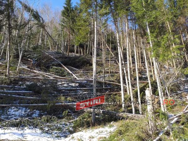 dezastru-muntii-rodnei-5