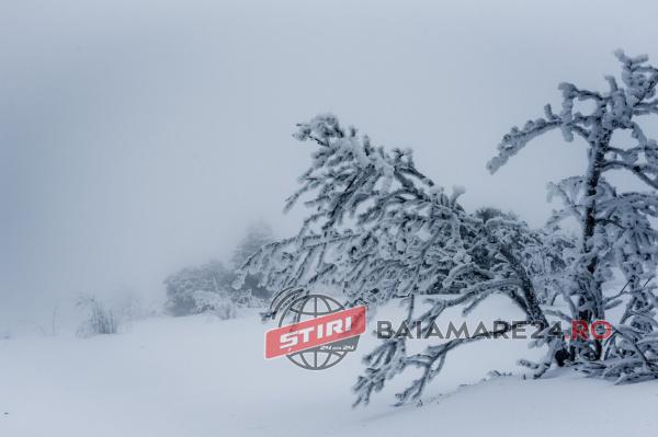 ger-de-crapa-pietrele-in-maramures-minus-32-de-grade-celsius-la-statia-meteo-din-muntii-pietrosul-642790