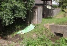 MOARTE STUPIDĂ: Un bărbat din Rogoz în șanțul de pe marginea drumului. A murit înecat