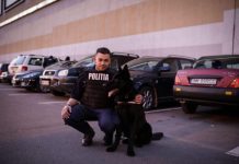 FOTO: Câinele Wat alături de poliţişti în combaterea contrabandei de tutun