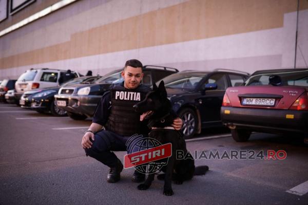 wat caine ipj mm (2)