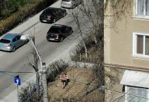 EXCLUSIV: Un localnic din Poienile de Sub Munte dus în carantină instituționalizată. La plajă în fața blocului în Baia Mare (FOTO)