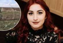 FOTO/VIDEO. Crimă la Satu Mare: Locul în care a fost găsită tânăra, un câmp relativ izolat