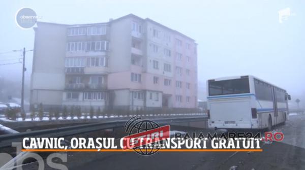 cavnic transport comun