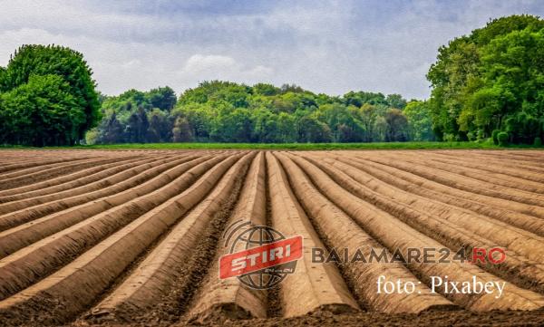 fermieri-germani-permis-muncitorii-romani-651006