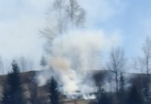 GALERIE FOTO/VIDEO: Două incendii de vegetație uscată la Poienile de Sub Munte