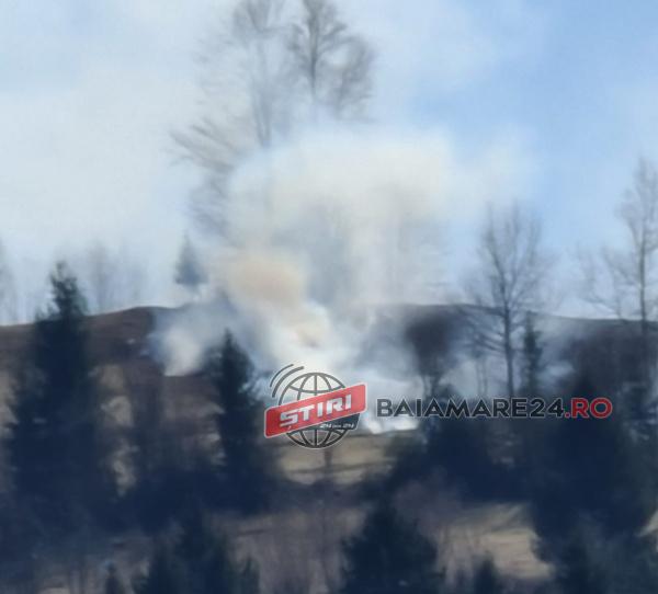 1024e829-b803-4b05-99e9-c88fdab489a1