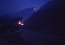 GALERIE FOTO: Incendii violente de pădure la Vișeu de Sus pe Valea Vaserului și în zona Rădeasa