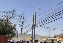 BĂIMĂRENI CU UN TUPEU INCREDIBIL: Zeci de rromi de la Combinat au ieșit în drum să bea o bere. Ce pandemie… ce coronavirus… (FOTO)