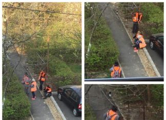 NOI CU DRAG MUNCIM, PARDON SOCIALIZĂM: Așa se face curățenia de primăvară în Baia Mare în plină pandemie de COVID-19 (GALERIE FOTO)