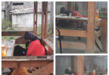 FOTO, VIDEO EXCLUSIV: Trei tineri drogați dorm unul în brațele celuilalt într-un foișor de pe str Gh Bilașcu din Baia Mare