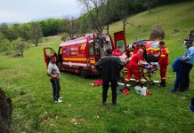 FOTO – FURTUNĂ: Bărbat din Cetățele decedat după ce a fost lovit în cap de un copac rupt de vânt