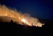 459 – Incendiile distrug pădurile! Maramureșul locul 3 în România