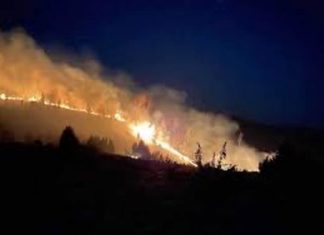 459 – Incendiile distrug pădurile! Maramureșul locul 3 în România