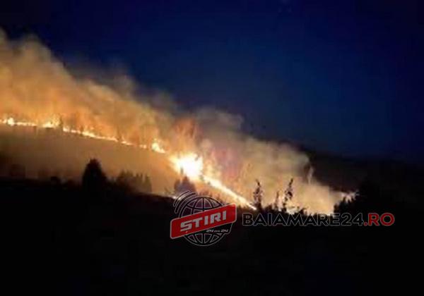 94991189_267515124646651_8984487794097258496_n