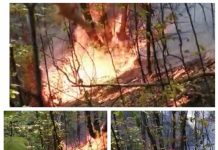 OAMENI INCOȘTIENȚI – VIDEO: Trei incendii în pădurile din Suciu de Sus