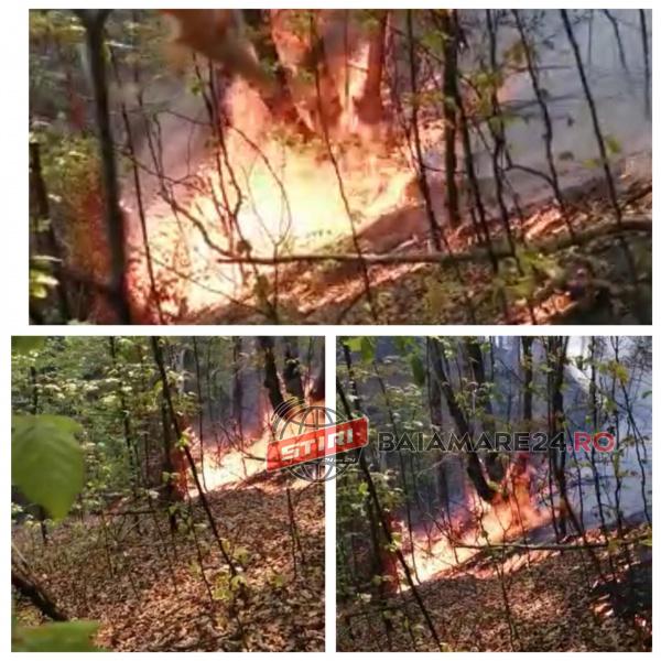 95097266_445180619659254_8879097427026509824_n