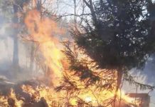 VIDEO – Incendii violente de pădure în întreg județul Maramureș